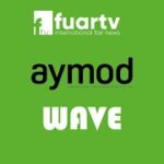 mqdefault (31)