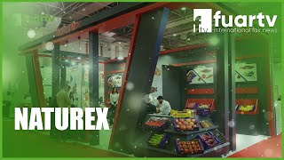 mqdefault - 2024-10-14T185035.049