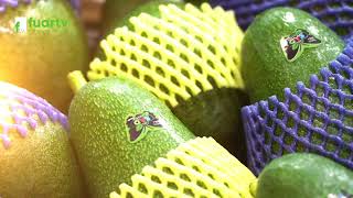 mqdefault - 2024-10-30T150317.882